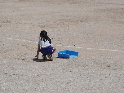 DSC05954