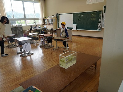 DSC06050