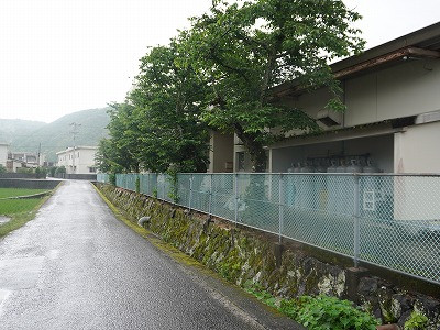 DSC06237