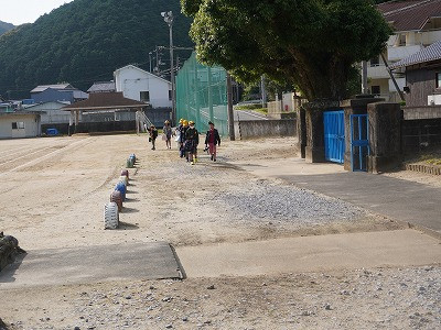 DSC06536