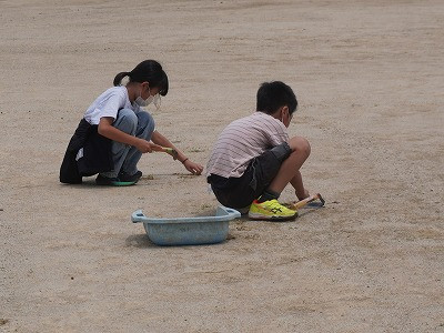 DSC06570