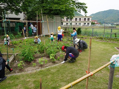 DSC06687