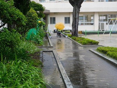 DSC06945