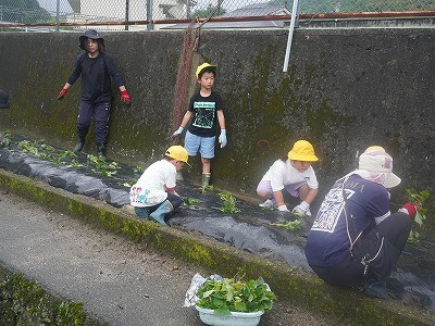 DSC06991