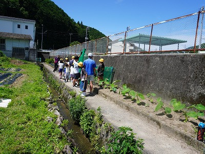 DSC07293