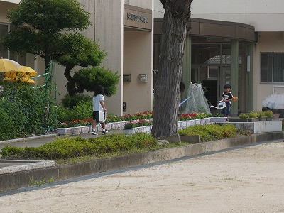 DSC07310
