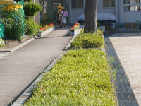 DSC07430