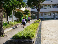 DSC07774