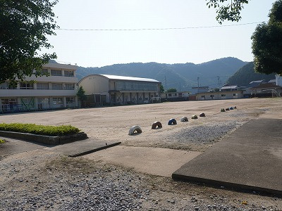 DSC07786