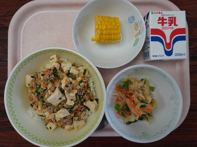 DSC08204