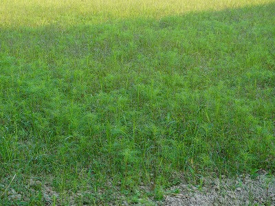 DSC00983