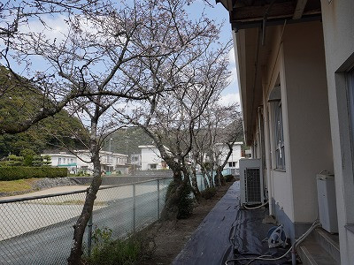 DSC07567