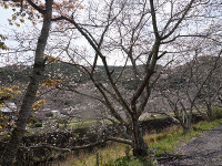 DSC07558