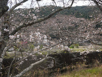 DSC07560