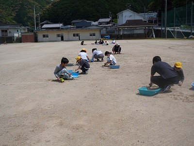DSC05341