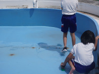 DSC05606