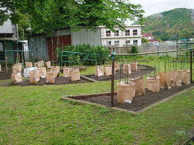 DSC05627