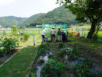 DSC07850