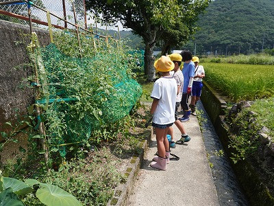 DSC08555