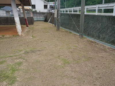 DSC08979