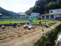 DSC09784