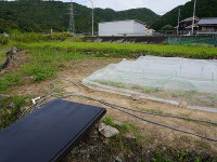 DSC00016