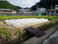 DSC00022
