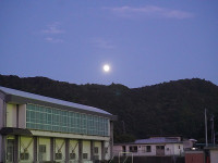DSC00539