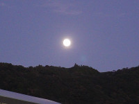 DSC00541