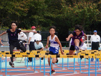 DSC00788
