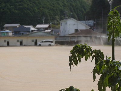 DSC01110