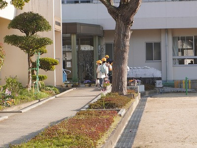 DSC07157