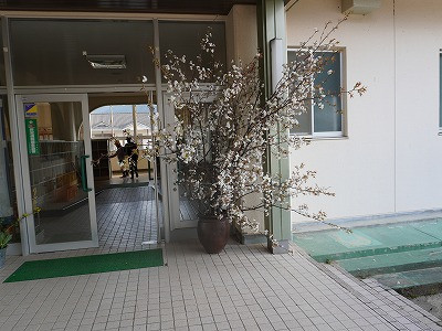 DSC07154
